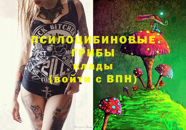 дурь Сатка
