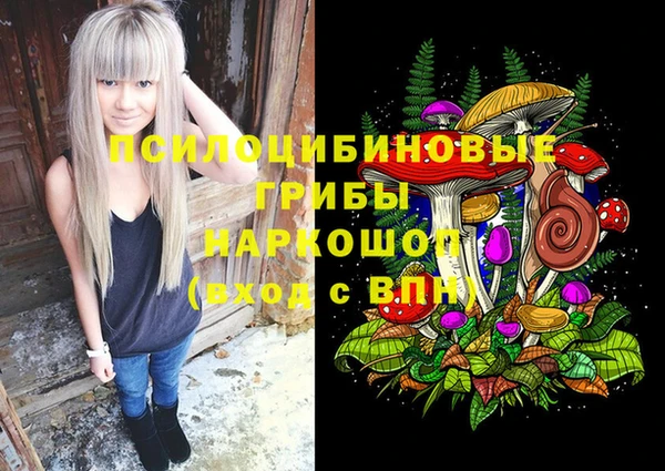 дурь Сатка