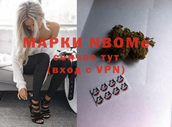 шишки Абинск