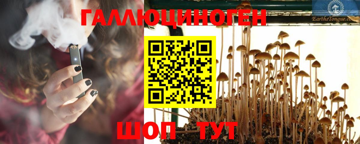 Псилоцибиновые грибы мицелий Ивантеевка