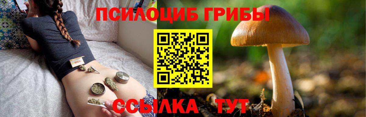 Галлюциногенные грибы мухоморы  цена   Ивантеевка  Вход с VPN 